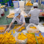 TRÁI CÂY SẤY DẺO