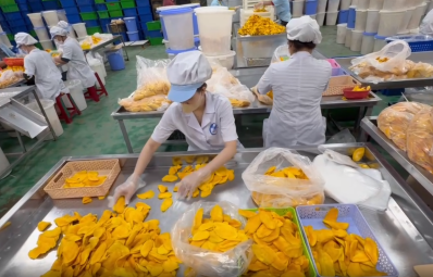 TRÁI CÂY SẤY DẺO