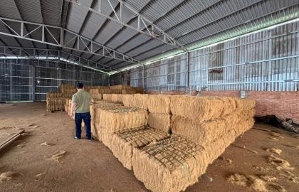 VNTL Xuất Khẩu Chỉ Xơ Dừa Sang Thị Trường Trung Quốc